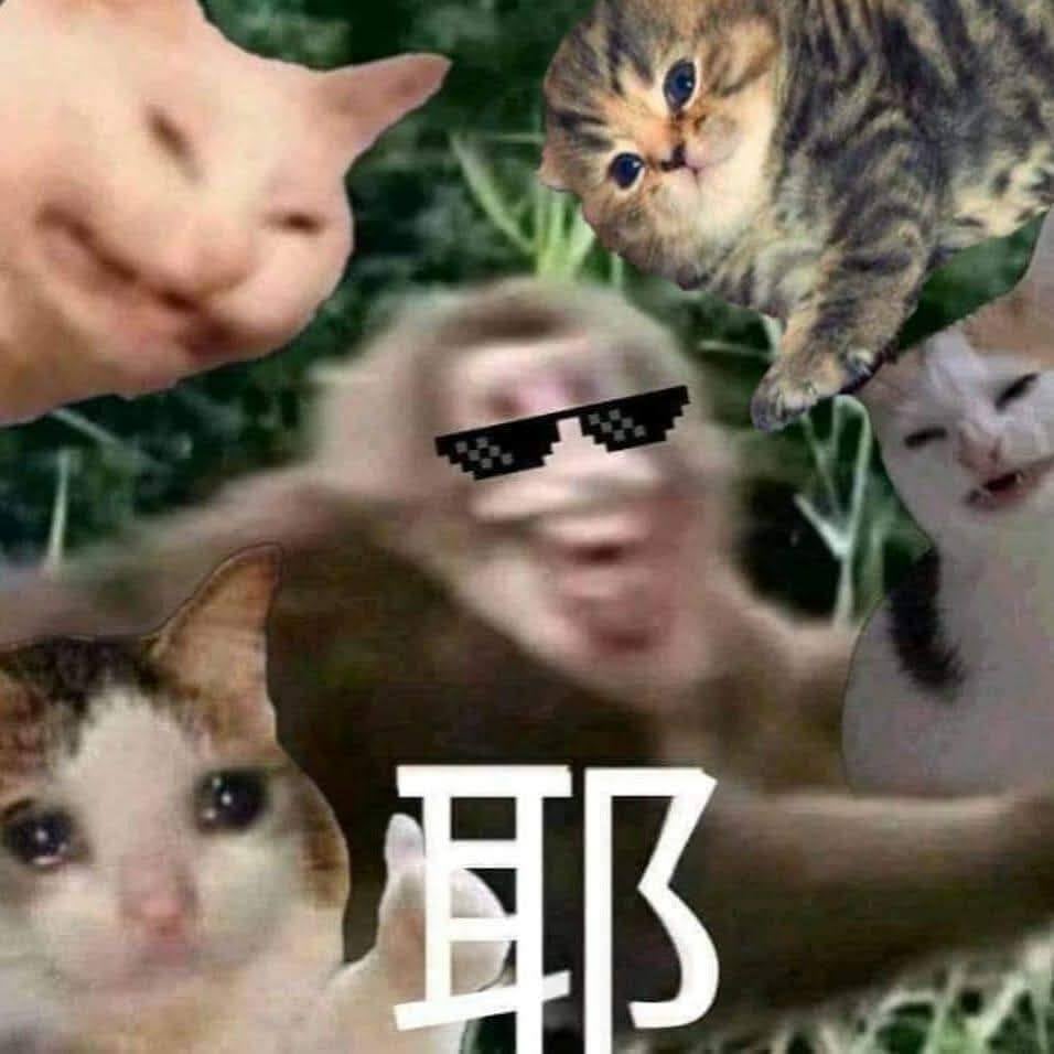 迷因少女與牠們的毛毛精靈