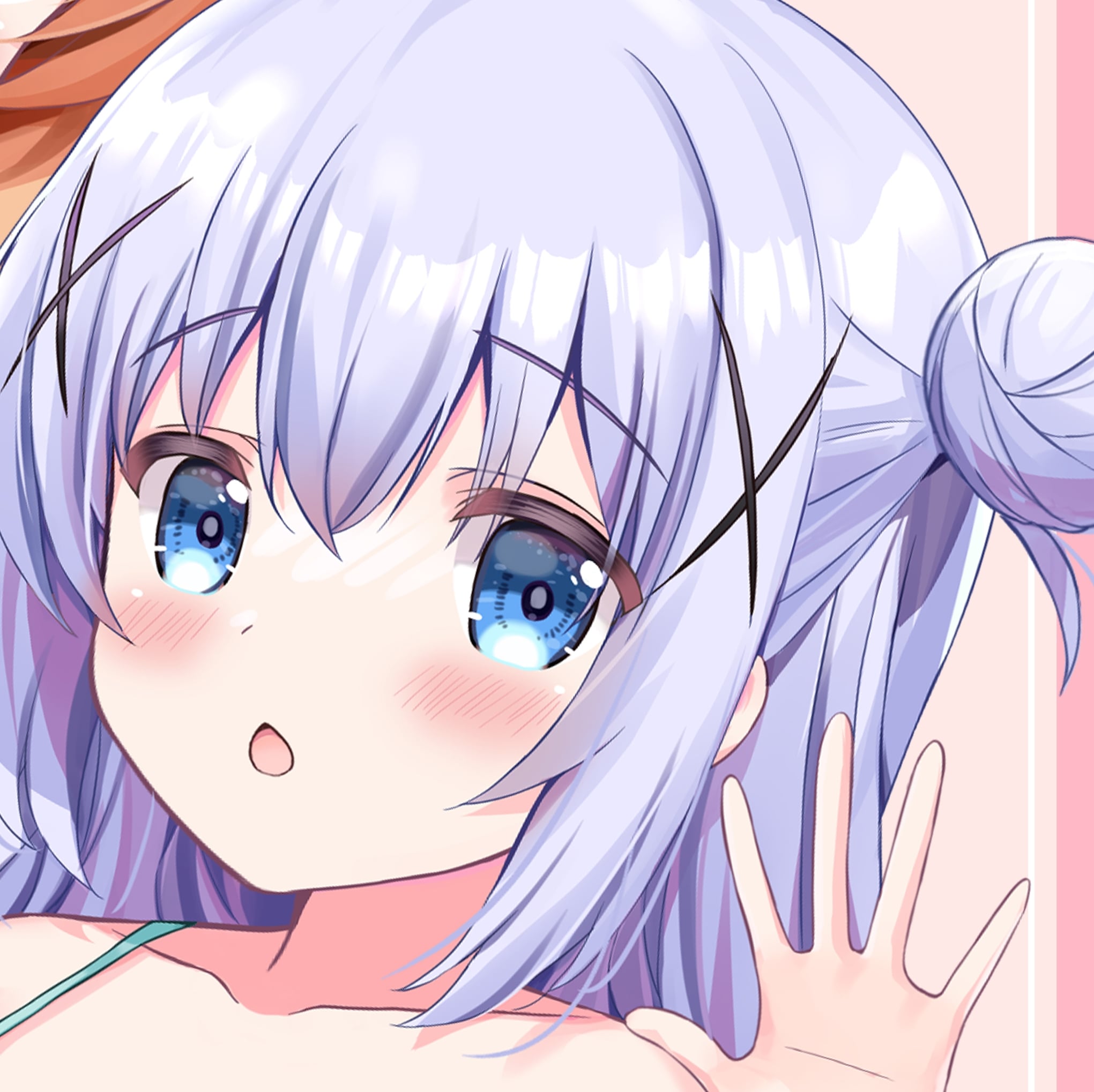 貓專用牛乳